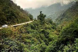 Výsledek obrázku pro yungas