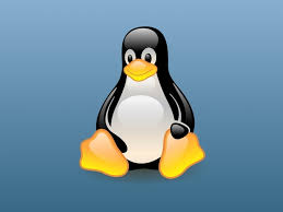 Image result for linux penguin