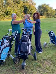 Image result for Avro Golf Club