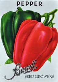 Afbeeldingsresultaat voor giant 3 sweet pepper