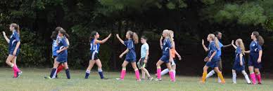 Image result for Meadows Sports Association