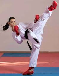 Image result for Bristol Karate Club