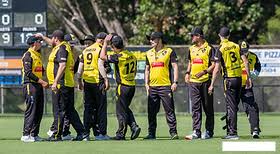 Image result for Chard Cricket Club