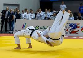 Image result for Judo Excellence