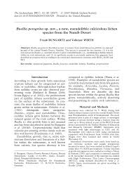 Attēlu rezultāti vaicājumam “Petractis sp.”