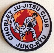 Image result for Reading World Ju-jitsu Club