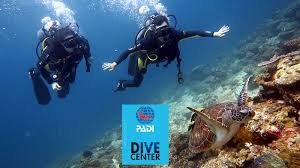 Image result for Aquanauts Dive Centre Sunderland
