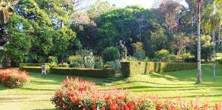 Image result for шри ланка королевский ботанический сад