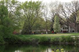 Image result for Greets Green Bowling Club