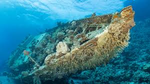 Image result for Three Seas Diving