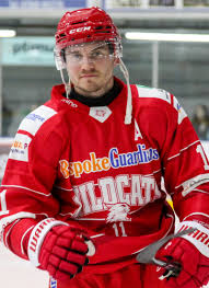 Image result for Swindon Panthers