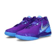 Image result for lebron james shoes