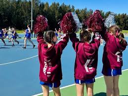Image result for Treforus Netball Club