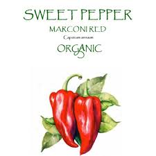 Afbeeldingsresultaat voor long red marconi sweet pepper