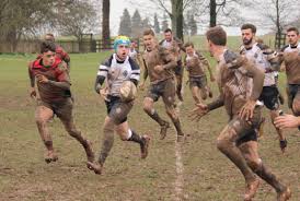 Image result for Oswestry Rugby Football Club