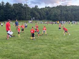 Image result for Wrentham Football Club