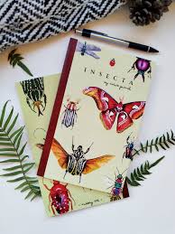 Attēlu rezultāti vaicājumam “Insecta”