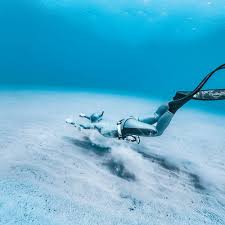 Image result for Maidstone Sub Aqua Club