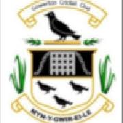 Image result for Ammanford Cricket Club