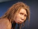 The skull resembled early Homo
