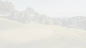 Image result for Hartlepool Gc