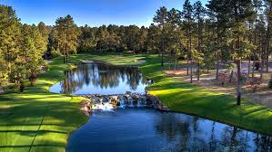 Image result for Castle Point Bowling Club