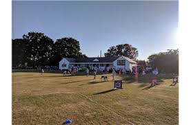 Image result for Bradfield Cricket Club
