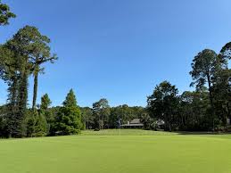 Image result for Dolphina Gc