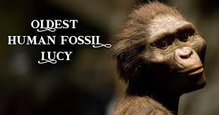 Image result for lucy