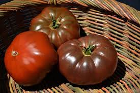 Afbeeldingsresultaat voor dark purple beefsteak tomato