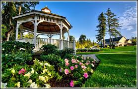 Image result for Cama Golf Club