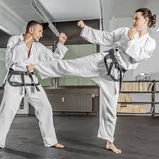 Image result for Crown Tae Kwon Do