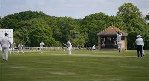 Image result for Milton Cricket Club