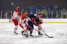 Image result for York University Street Hockey Club