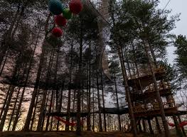 Image result for Go Ape! Moors Valley