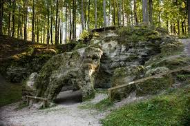 Attēlu rezultāti vaicājumam “Tortula lingulata”