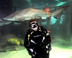 Image result for Cleveland Divers