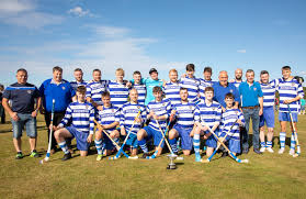 Image result for Lochcarron Camanachd