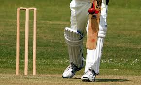 Image result for Fareham and Crofton Cricket Club