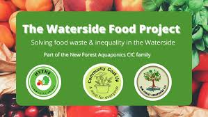 Image result for New Forest/Waterside