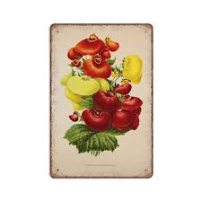 Image result for Calceolaria integrifolia