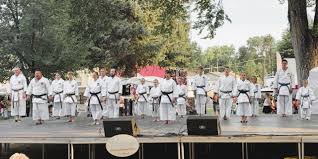 Image result for Loughton Wado-Kai Karate Club