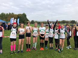 Image result for Dudley and Stourbridge Harriers Athletics Club