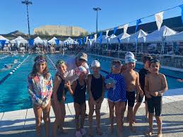 Image result for Derby Phoenix Swimming Club