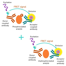 Image result for HTRPC