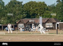 Image result for Westerdale Cricket Club