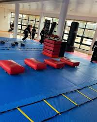 Image result for Aikido Rickmansworth