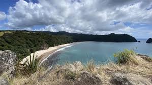 Image result for new chums beach