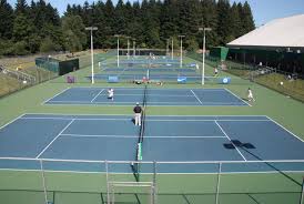 Image result for Potton Tennis Club