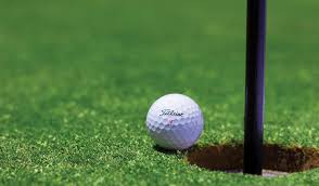 Image result for Datchet Golf Club Ltd
